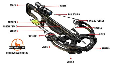 Parts of a Crossbow Explained in Detail - Hunting Maestro