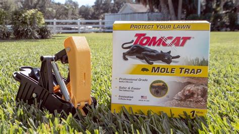 Mole - Trap - Tomcat - Lawn - Damage - Turf - Tunnels