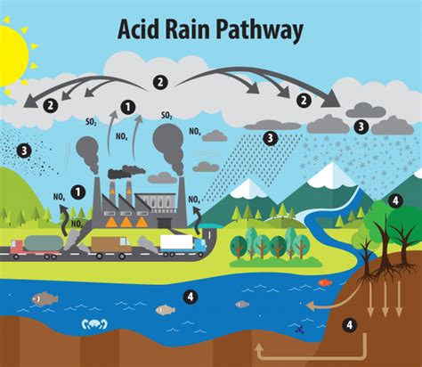 Which Gas Causes Acid Rain - LincolntinMolina