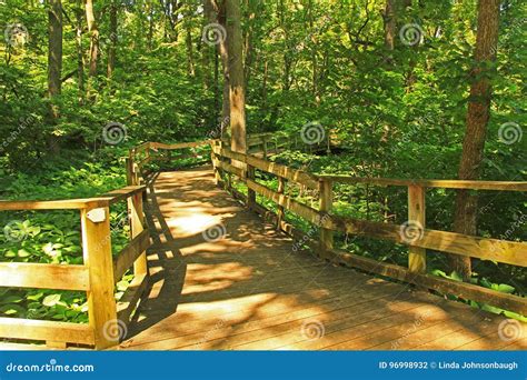 Peaceful Boardwalk Trail in Fontenelle Forest Nature Center Stock Photo - Image of boardwalk ...