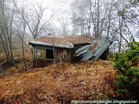 Abandoned house in the forest wallpaper | Wallpaper Wide HD