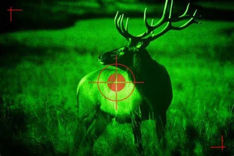 Best Night Vision Scope For Hunting in 2021 - {Complete GUIDE!}