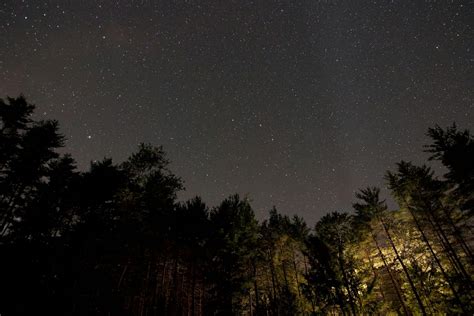 Starry Night over Trees · Free Stock Photo