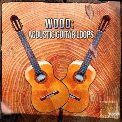 Download Toolbox Samples Wood Acoustic Guitar Loops WAV » AudioZ