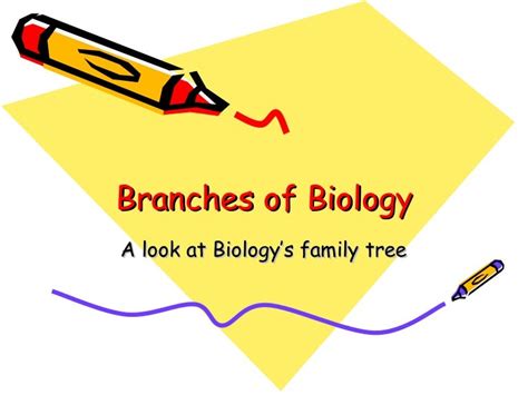 Branches Of Biology