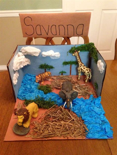 28 best Savanna ecosystem project. images on Pinterest | Savanna ecosystem, Africans and Beleza