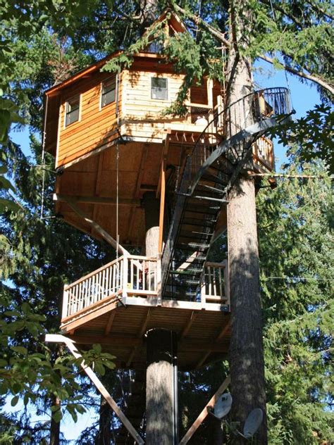 Amazing Treehouse Ideas | HGTV