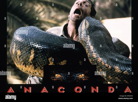 ANACONDA, Jonathan Hyde, 1997, © Columbia/courtesy Everett Collection Stock Photo - Alamy