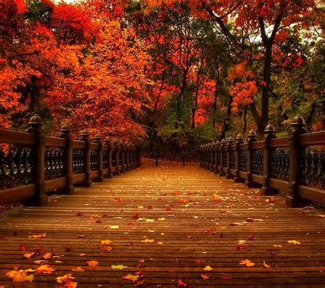 Bridge Autumn Wallpapers - Wallpaper Cave