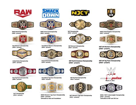 Mattel WWE NXT WWF Championship Champion Wrestling Belts Toy Figure ...