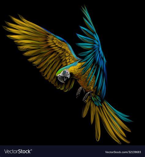 Portrait a macaw parrot in flight Royalty Free Vector Image