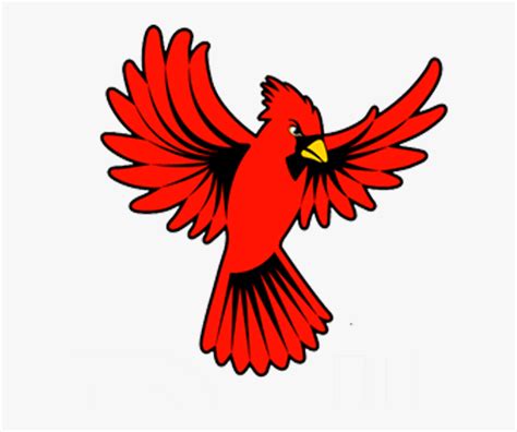 Cardinal Wings Open Clipart - Cardinal Bird Open Wings, HD Png Download - kindpng