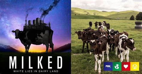 New Documentary ‘MILKED’ Launches Global Petitions To Dismantle Dairy Industry