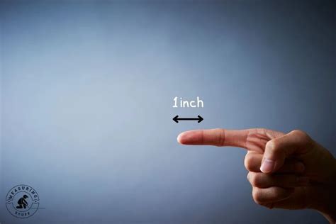 How Big Is An Inch? (With Visuals) - Measuring Stuff