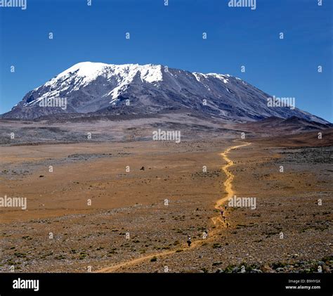 Path to Mount Kilimanjaro, Kilimanjaro National Park, UNESCO World Heritage Site, stratovolcano ...