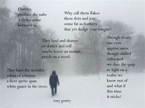 Snowy Day Poems | Tony Gentry