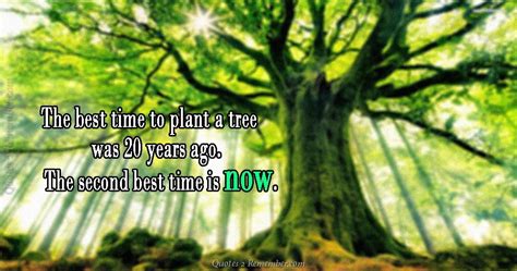 The best time to plant… – Quotes 2 Remember