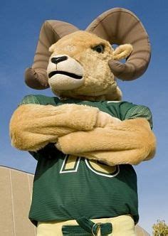 CSU Rams - Colorado State by marketingjenn on Pinterest | Colorado State University, Basketball ...