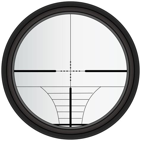 Can You Use a Regular Scope on an Air Rifle? (Explained!)