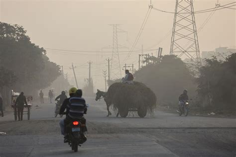 Indian industry turns to biomass as capital bans coal in pollution fight | Reuters