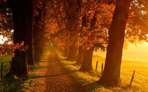 🔥 [50+] Fall Country Scenes Wallpapers | WallpaperSafari