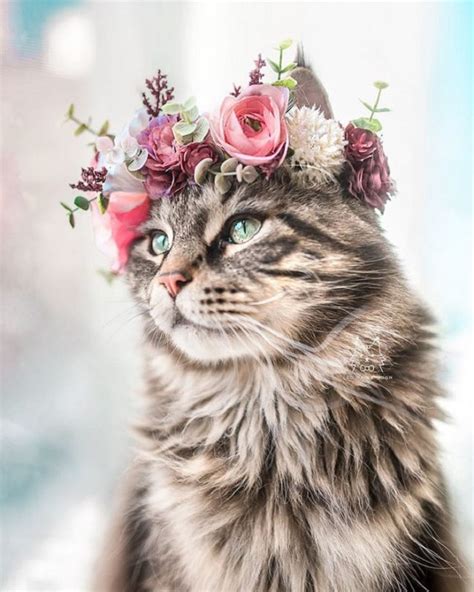 College Professor makes awesome flower crowns for animals