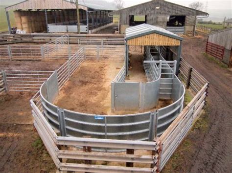 Cattle Corral Designs Related Keywords | Cattle corrals, Cattle barn, Cattle