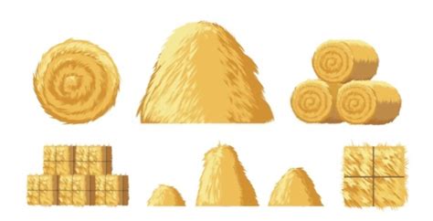 What Are The Standard Hay Bale Dimensions And Weight?