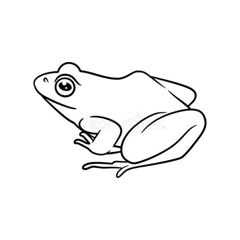 Frog Line Art Drawing Illustration Stock Vector - Illustration of clip ...