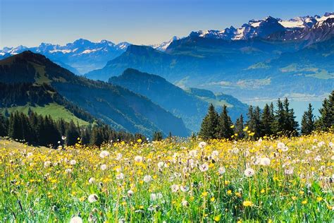 Update more than 69 swiss alps wallpaper super hot - in.cdgdbentre