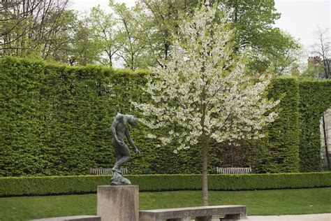 Now is the Perfect Time to See the Rodin Museum Garden - Paris Perfect