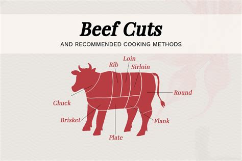 Beginner's Guide To Beef Cuts, Angus Beef Butcher Chart Laminated Wall Decor Art Print Poster ...