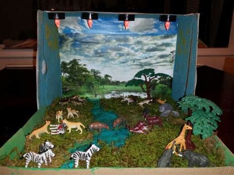 Lion habitat diorama. Rainforest Biome, Rainforest Project, Biomes Project, Ecosystems Projects ...