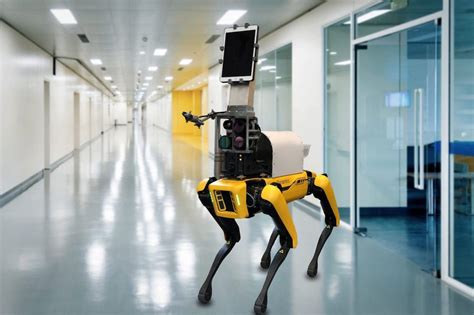 Why Boston Dynamics Is Putting Legged Robots in Hospitals - IEEE Spectrum