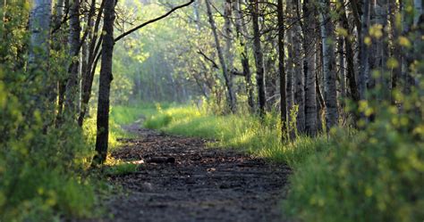 Summer Hike Series - Birds Hill Park (Winnipeg, MB) - A Rocha