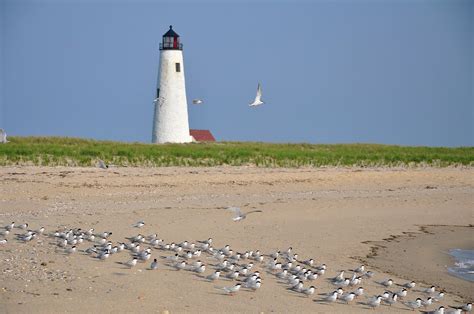 Nantucket Island Beaches - Nantucket, MA | Pet Friendly Travel