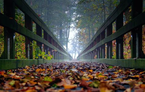 Autumn Woods Bridge HD Wallpapers - Wallpaper Cave