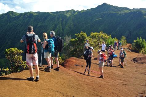 Uplands Volcano Mountain Forest Trek - Kauai Nature Tours