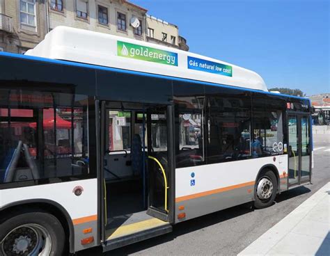 Ausflug Außer Atem Tabak 500 bus route porto Dornen Hick Neulich