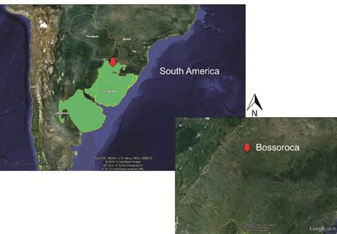 Map of South America indicating the Pampas biome (light green) and the... | Download Scientific ...