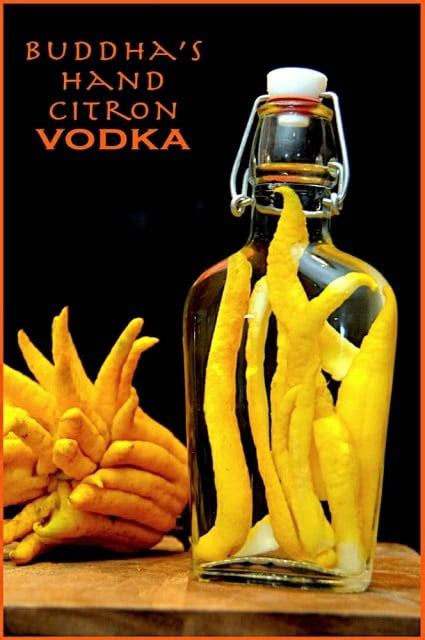 Buddhas Hand Vodka Recipe HOW TO MAKE | White On Rice Couple