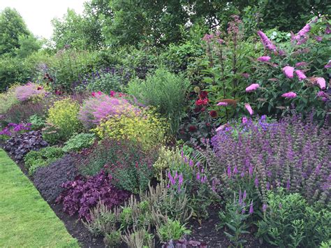 Small Evergreen Flowering Shrubs For Borders