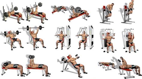 Five Best Chest Exercises To Make The Gym Jealous Of Your Pecs ...