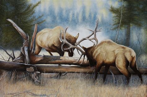 Fine Art, Original Oil, Wildlife, Elk, Bull Elk, Animal, Western ...