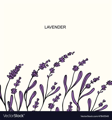 Lavender template background Royalty Free Vector Image