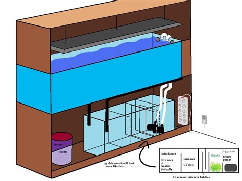 Considering an Aggressive tank setup or some type of large fishes ...