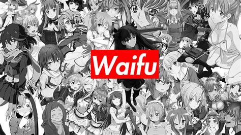 waifu tournament (anime) Bracket - BracketFights