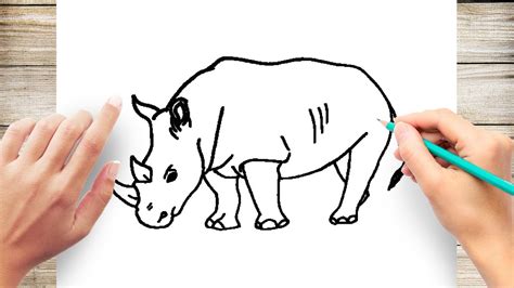 Cartoon Rhino Drawing For Kids - This activity is short and simple.