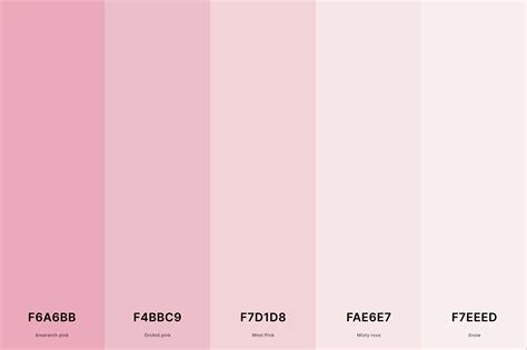 25+ Best Pink Color Palettes with Names and Hex Codes – CreativeBooster