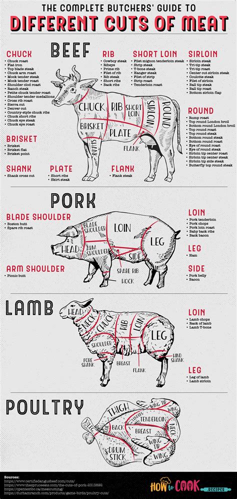 Guide To Different Cuts of Meat [Infographic] - Best Infographics